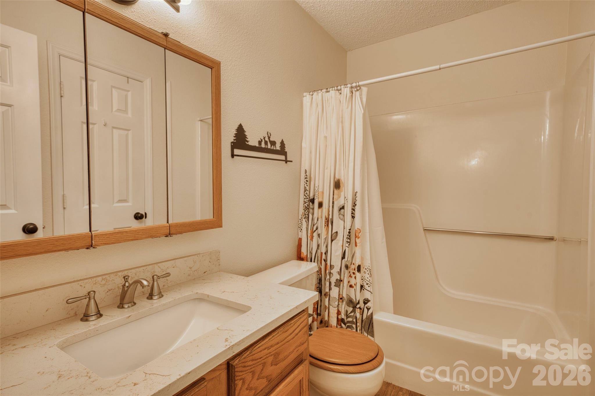 61 Riverside Villa Drive Maggie Valley, NC 28751 - Photo 21 of 31