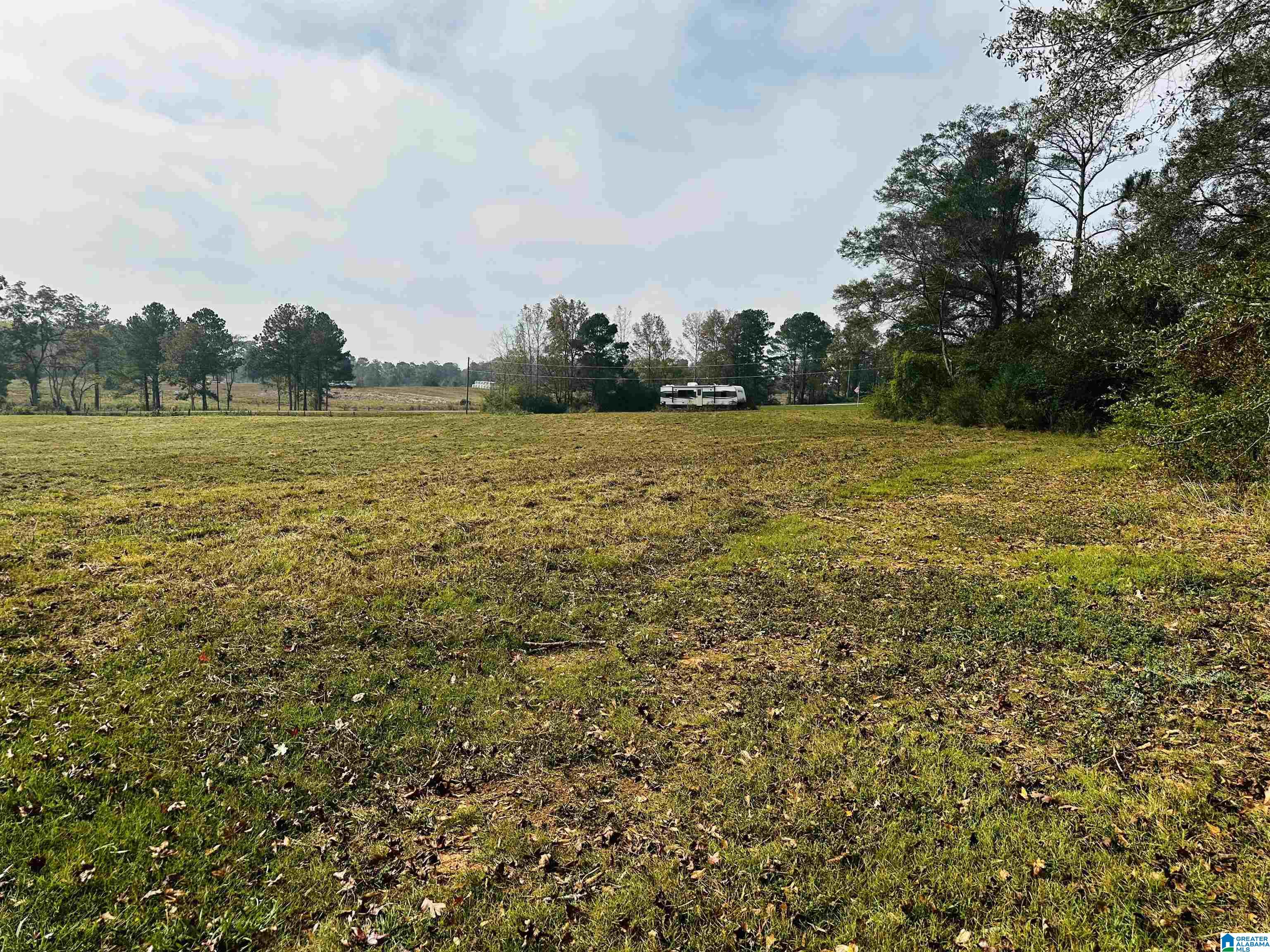 1721 McVey Road Lineville, AL 36266 - Photo 6 of 12