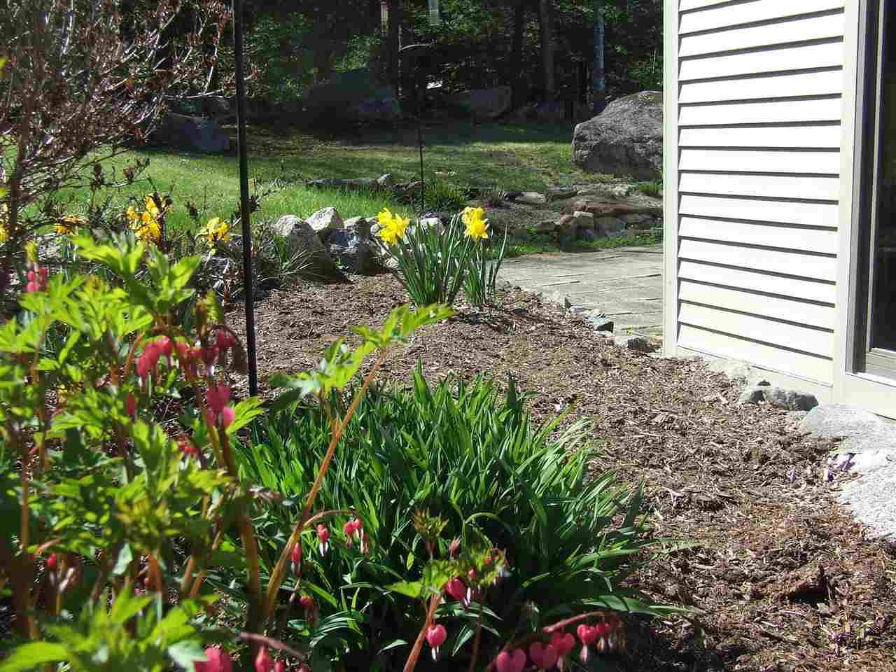 139 Pine Hill Road Ossipee, NH 03814 - Photo 30 of 40