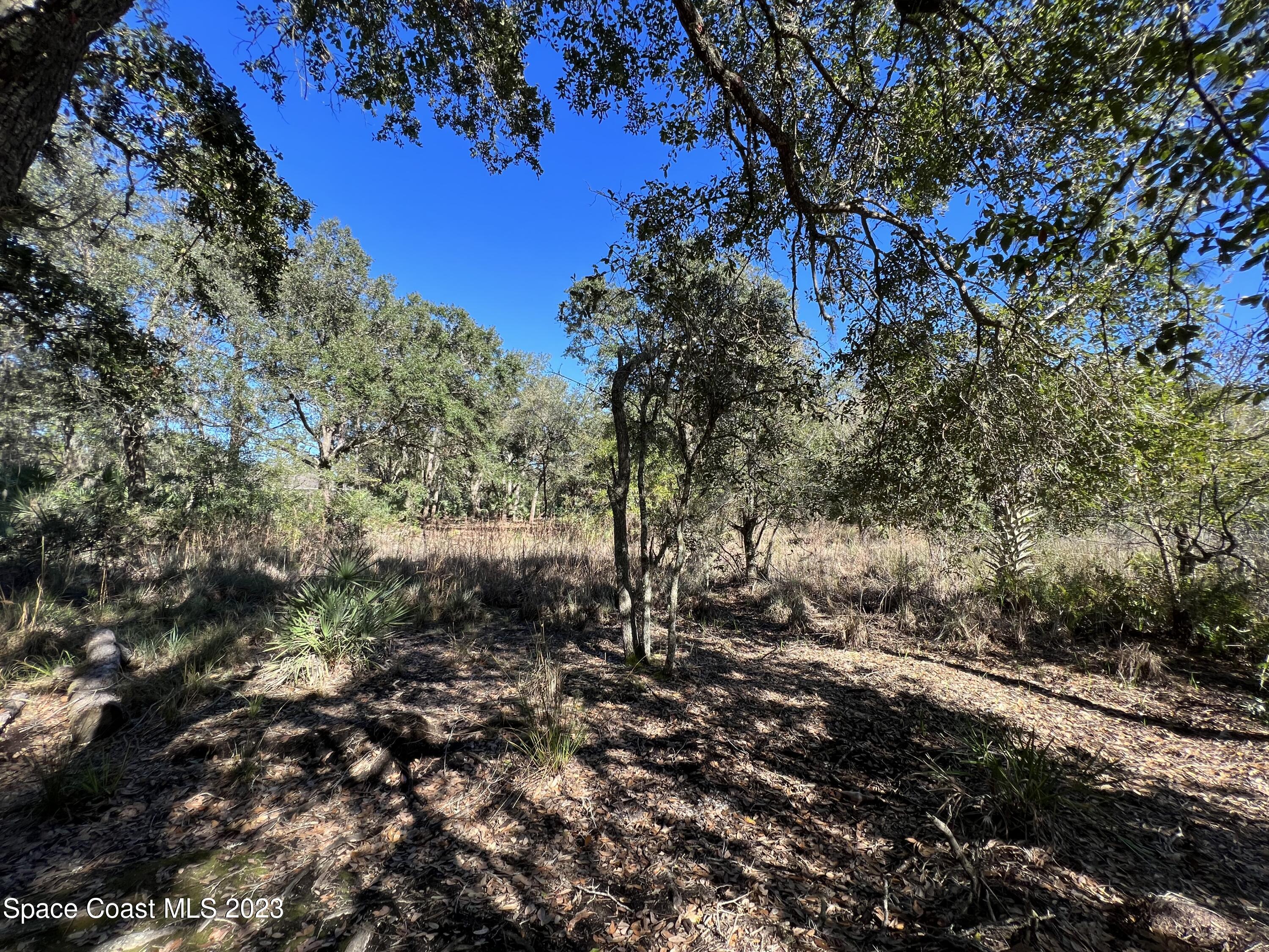 1665 Arch Road Mims, FL 32754 - Photo 14 of 22 95BDE9AD-1207-4547-B454-612F99F05157