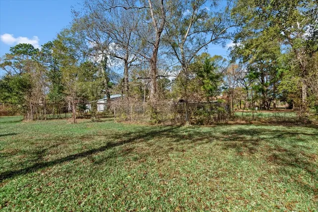 a view of a pathway with a tree in the background