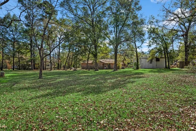 a view of a park with large trees