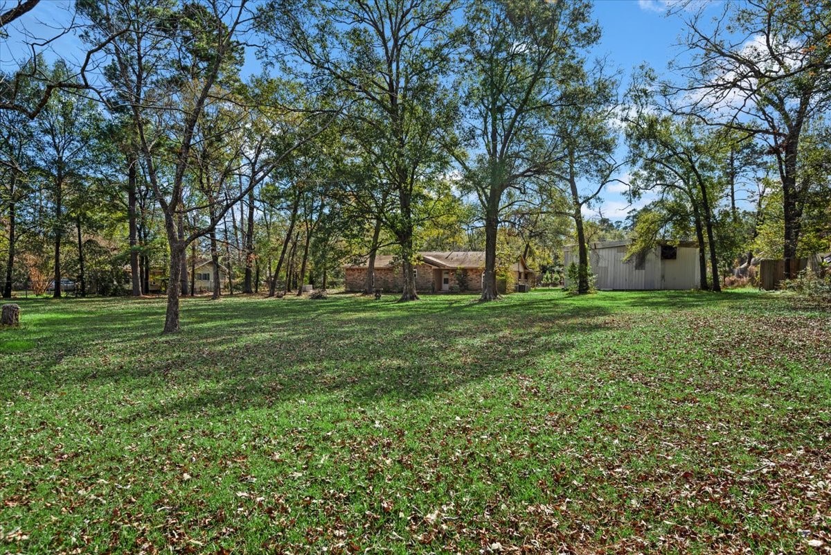 504 Catfish Lane Conroe, TX 77384 - Photo 4 of 48 a view of a park with large trees