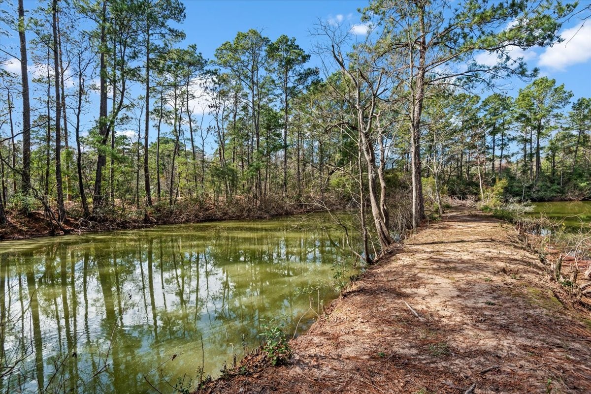 504 Catfish Lane Conroe, TX 77384 - Photo 42 of 48 a view of swimming pool