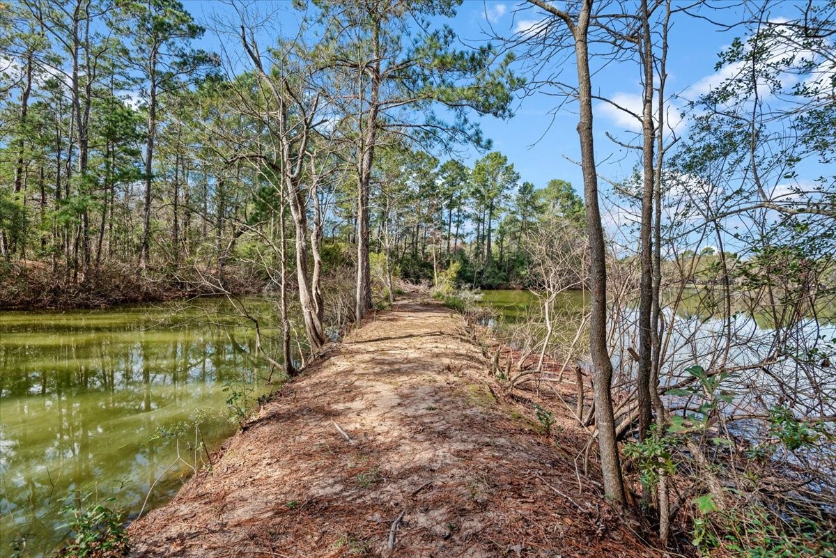 504 Catfish Lane Conroe, TX 77384 - Photo 43 of 48 a view of a yard with plants and large trees