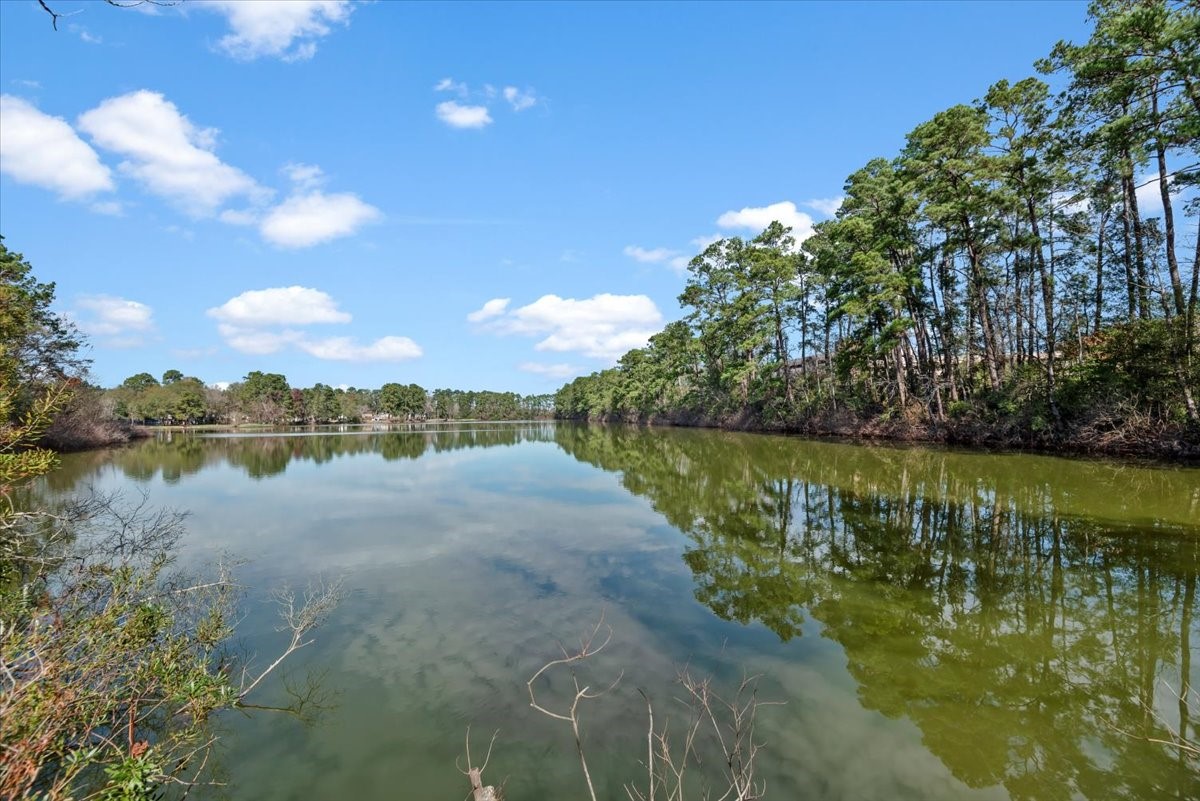 504 Catfish Lane Conroe, TX 77384 - Photo 45 of 48 a view of lake