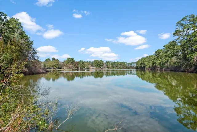 a view of lake with green space