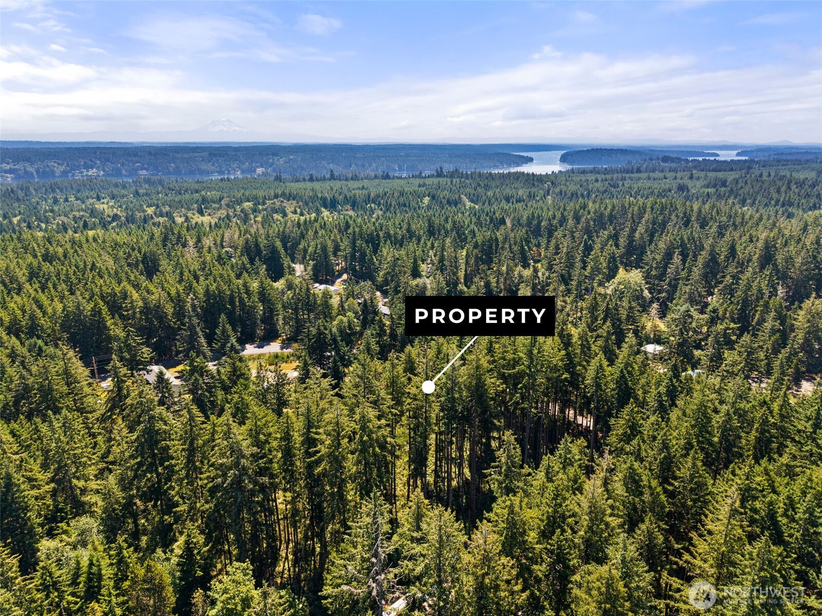 1030 East Phillips Lake Road Shelton, WA 98584 - Photo 5 of 21