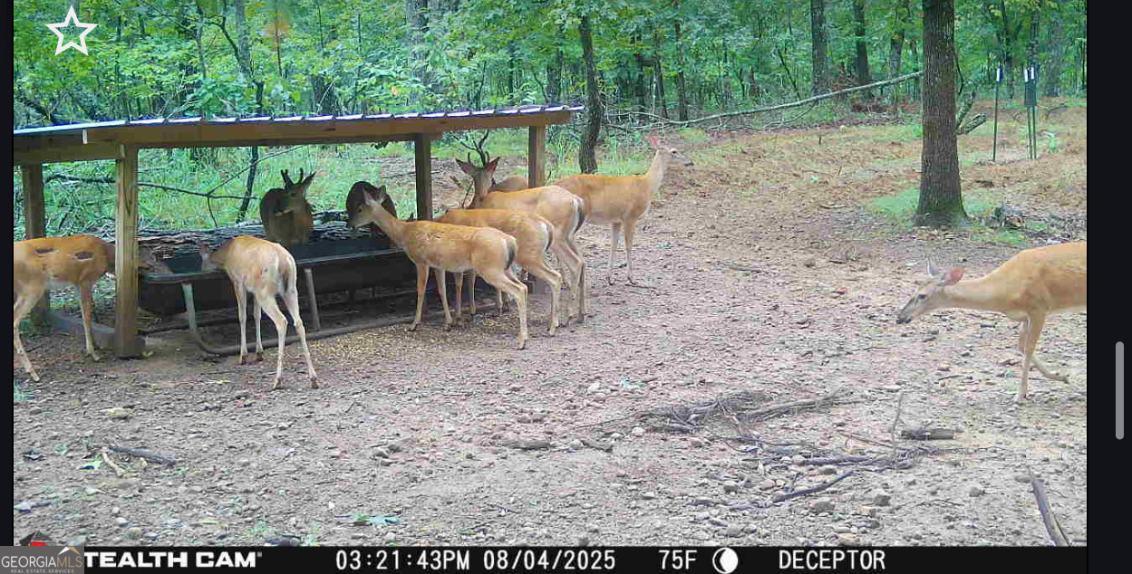 36-acres Firetower Road Thomaston, GA 30286 - Photo 3 of 3 a view of outdoor space with seating area