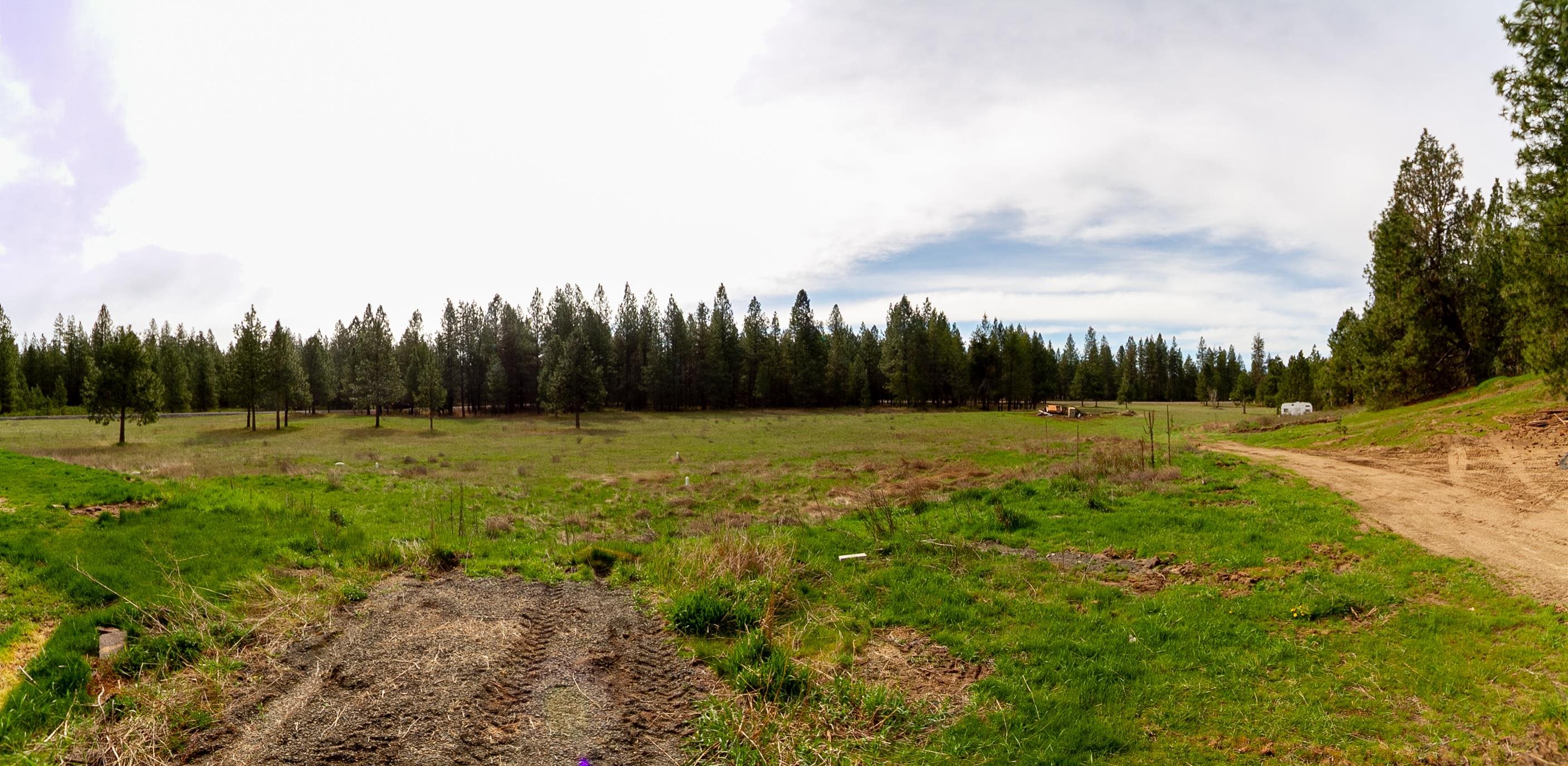 27509 North Perry Road Chattaroy, WA 99003 - Photo 44 of 50