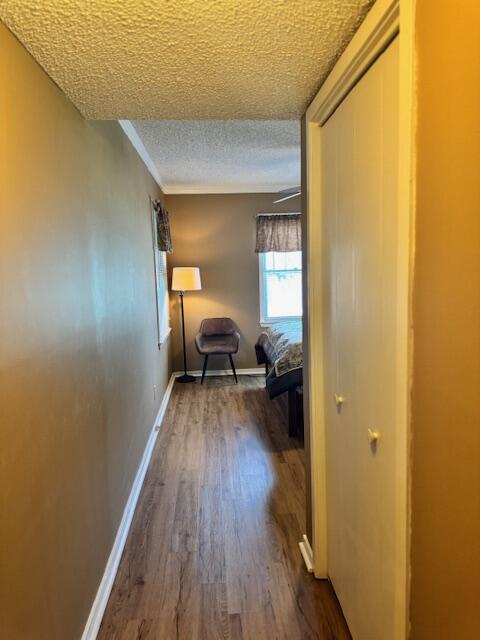 2205 Cypress Pointe, Unit B205 Manning, SC 29102 - Photo 15 of 54 IMG_2253