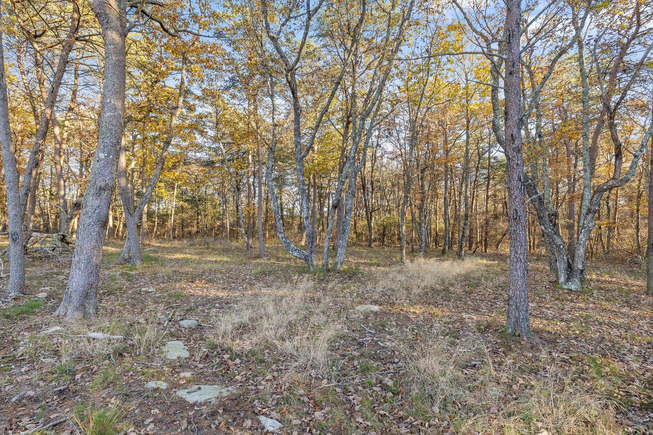 504 Wolf Run Menlo, GA 30731 - Photo 83 of 143 070-Wolf-69