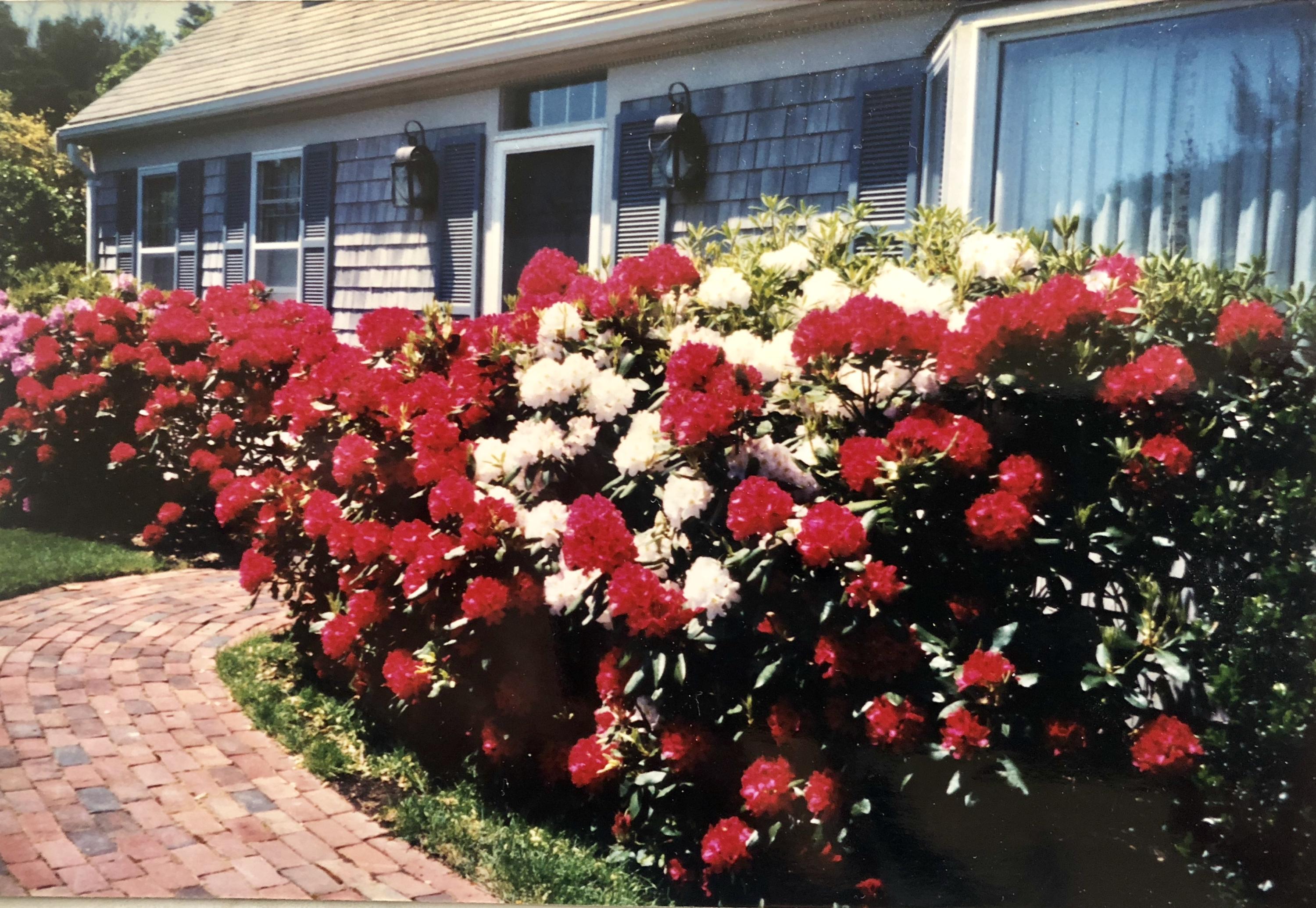 29 Schooner Road Dennis, MA 02638 - Photo 3 of 32 a front view of flowers house