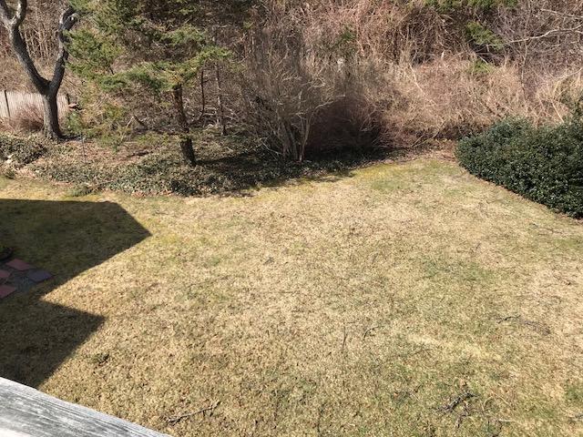 29 Schooner Road Dennis, MA 02638 - Photo 10 of 32 a view of a yard with trees