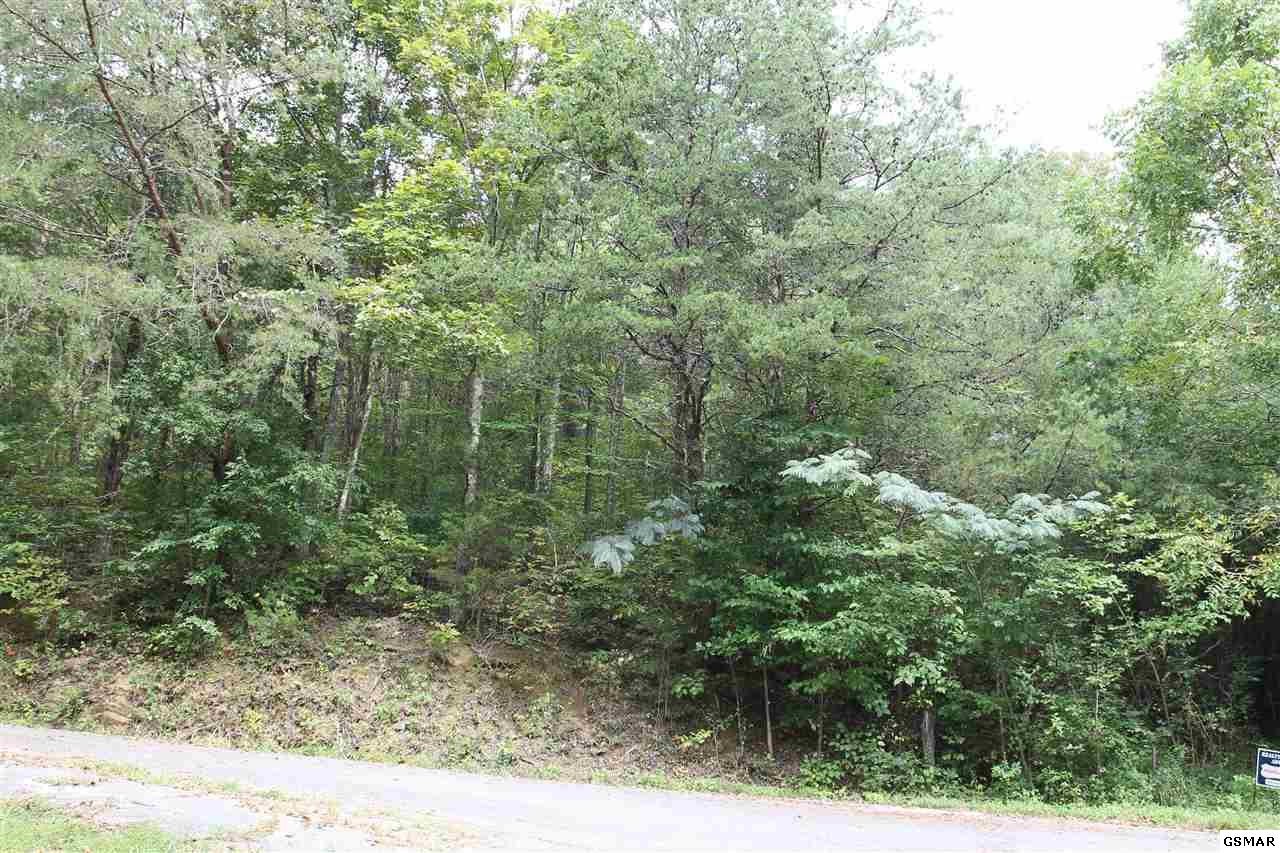 231 Reece Lane Seymour, TN 37865 - Photo 2 of 5 Gallery Image 2