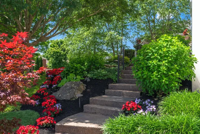 a view of a garden with flowers and trees