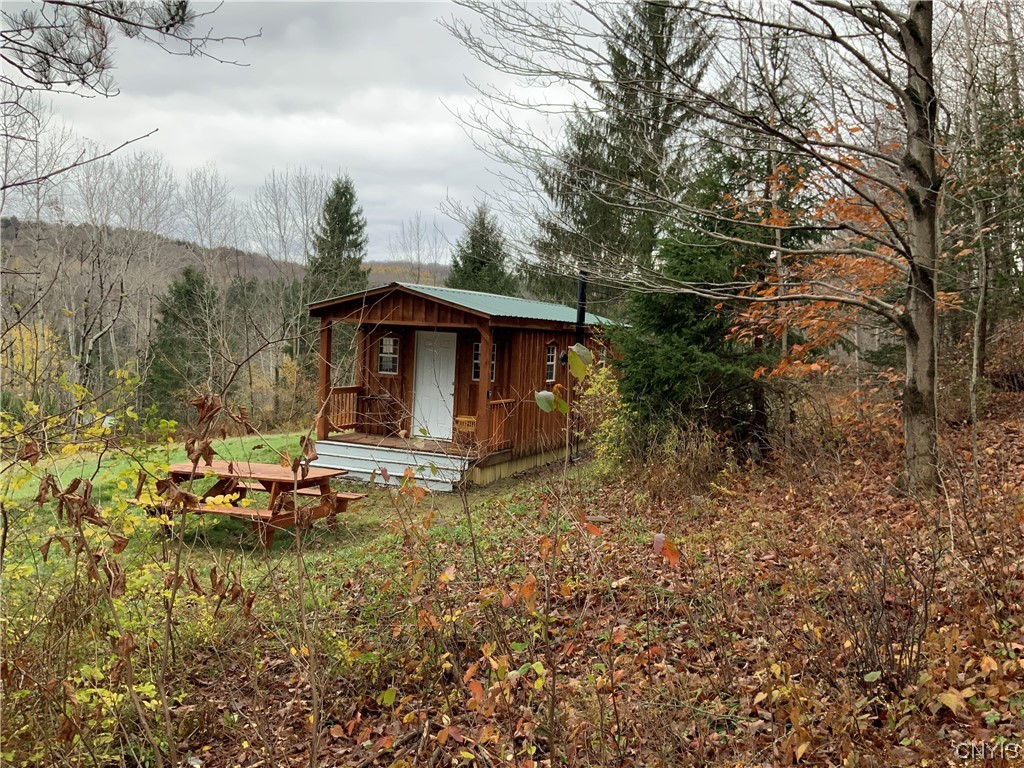 0 Bisbee Road Lebanon, NY 13332 - Photo 1 of 1 Gallery Image 1