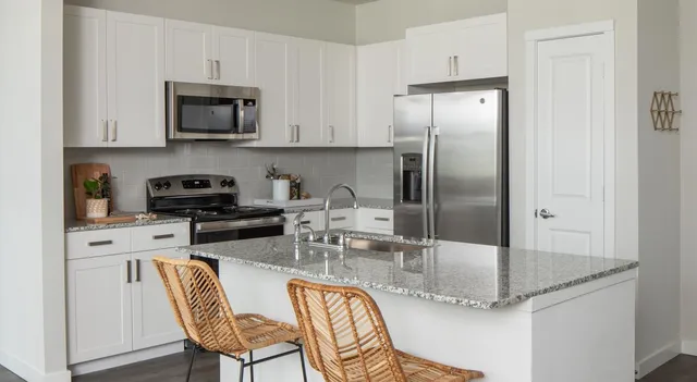 $1,459 | 12111 South Main Street, Unit 3306, Houston, TX 77035