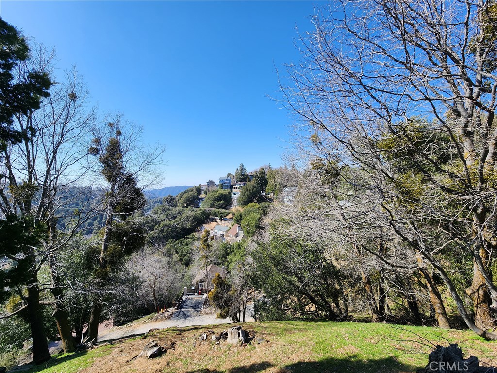 336 Darfo Drive Crestline, CA 92325 - Photo 16 of 23