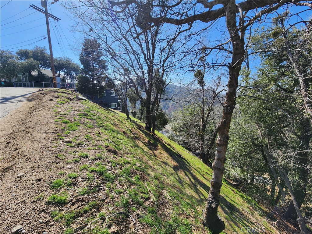 336 Darfo Drive Crestline, CA 92325 - Photo 19 of 23