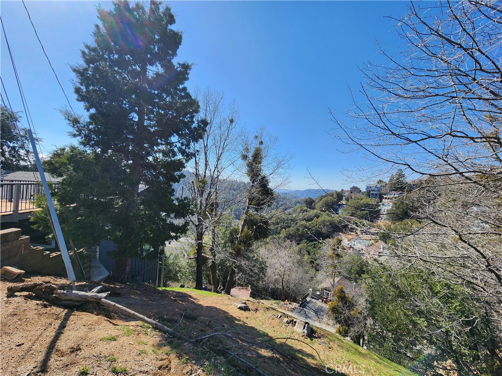 336 Darfo Drive Crestline, CA 92325 - Photo 20 of 23