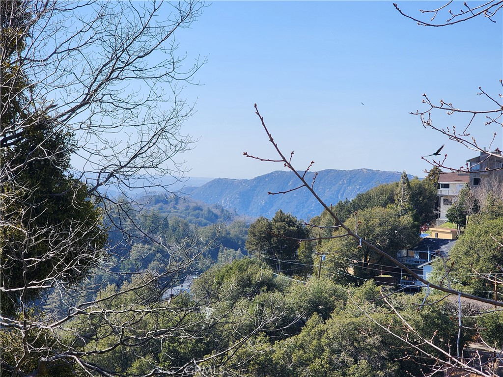 336 Darfo Drive Crestline, CA 92325 - Photo 21 of 23