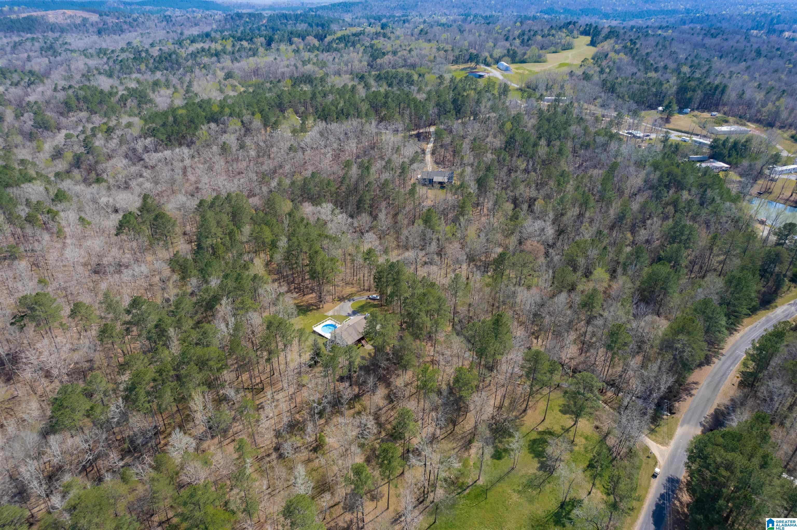 184 Sequoyah Road Pell City, AL 35128 - Photo 32 of 46