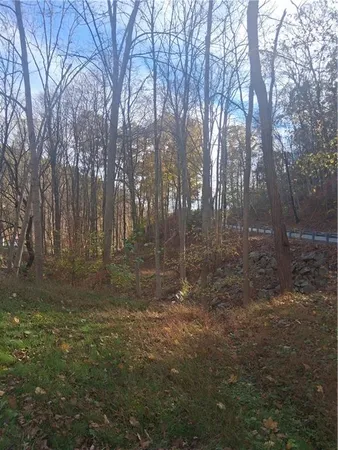 a view of outdoor space with trees