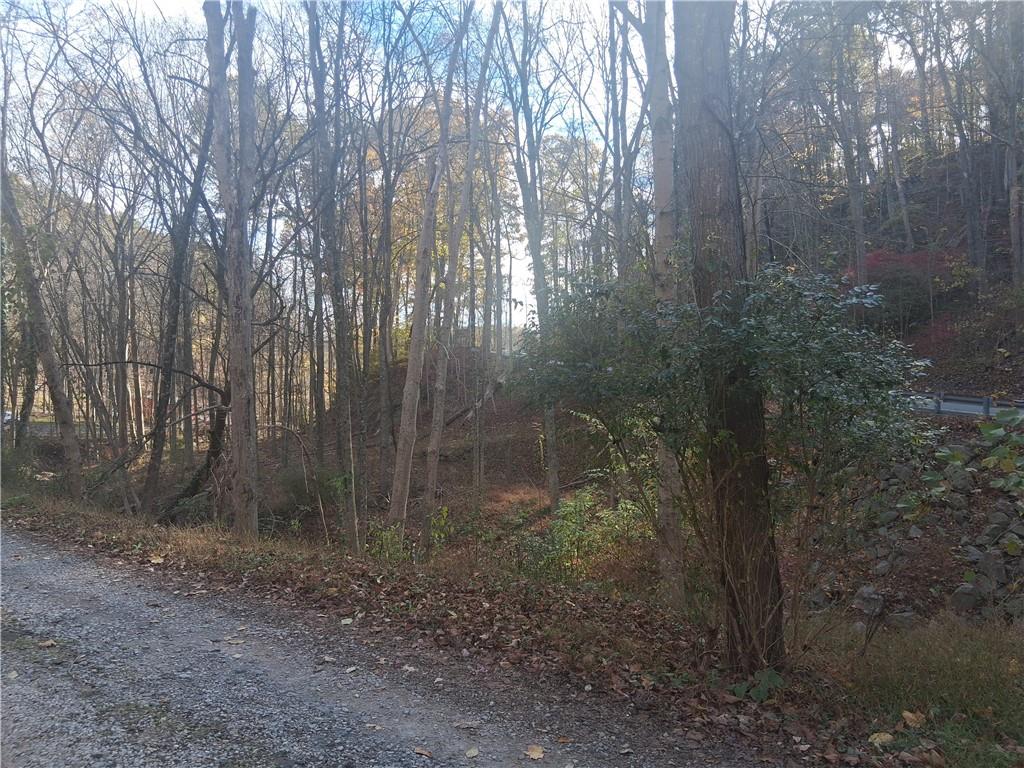 0 Baldwin Road Carnegie, PA 15071 - Photo 2 of 5 a view of a forest