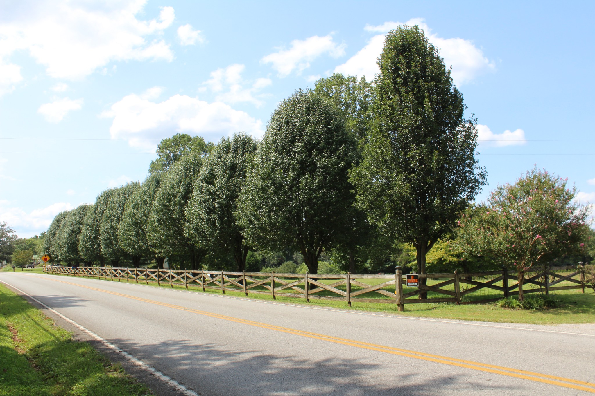 3847 Shellsford Road McMinnville, TN 37110 - Photo 2 of 34 a view of a park