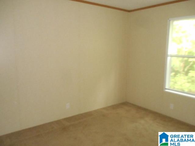 294 Cove Acres Road Odenville, AL 35120 - Photo 8 of 8