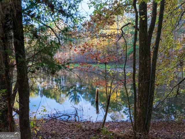 a view of a lake with a tree