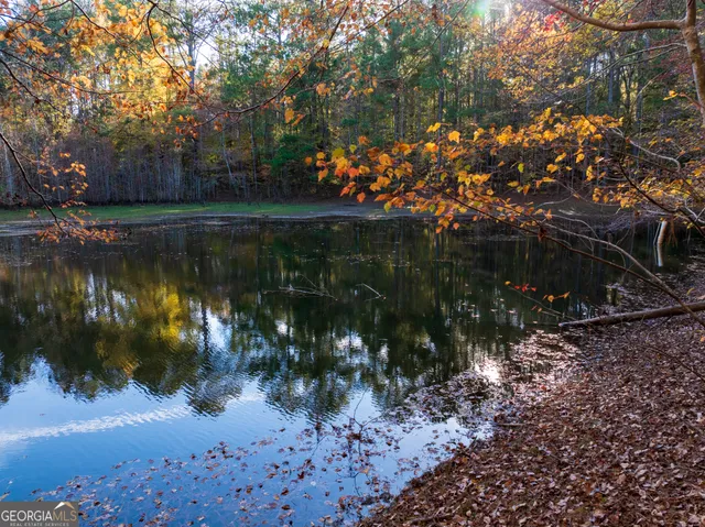 a view of a garden with a plant
