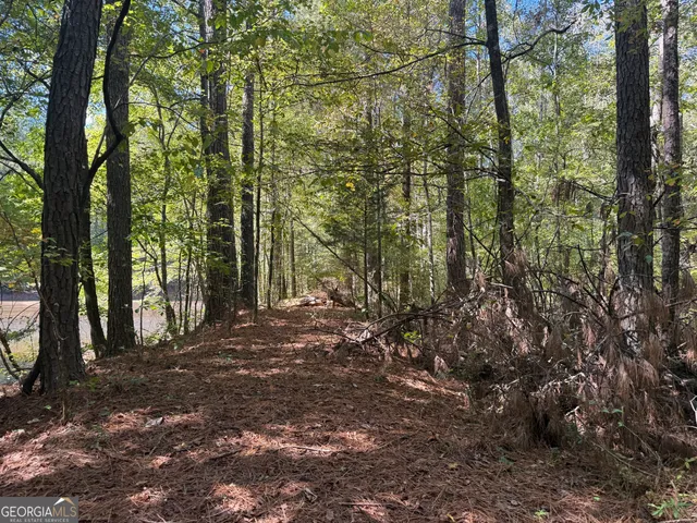 a view of a yard with plants and trees