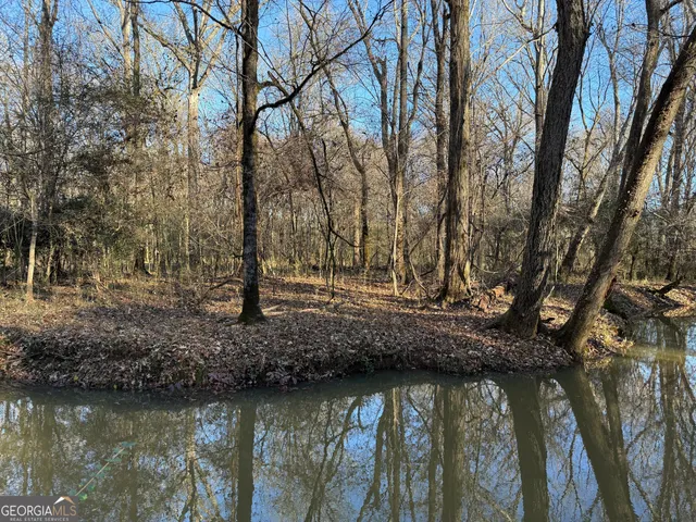 a view of lake with green space