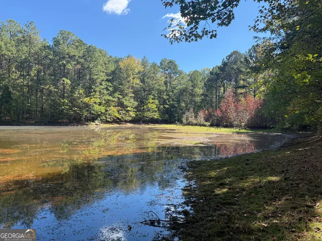 a view of a yard with trees