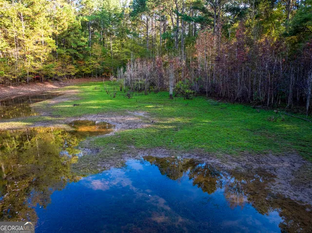 a view of swimming pool with a yard