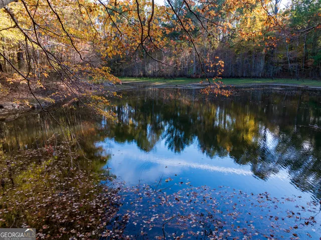 a view of river covered with trees