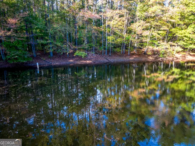 a view of a yard in a yard