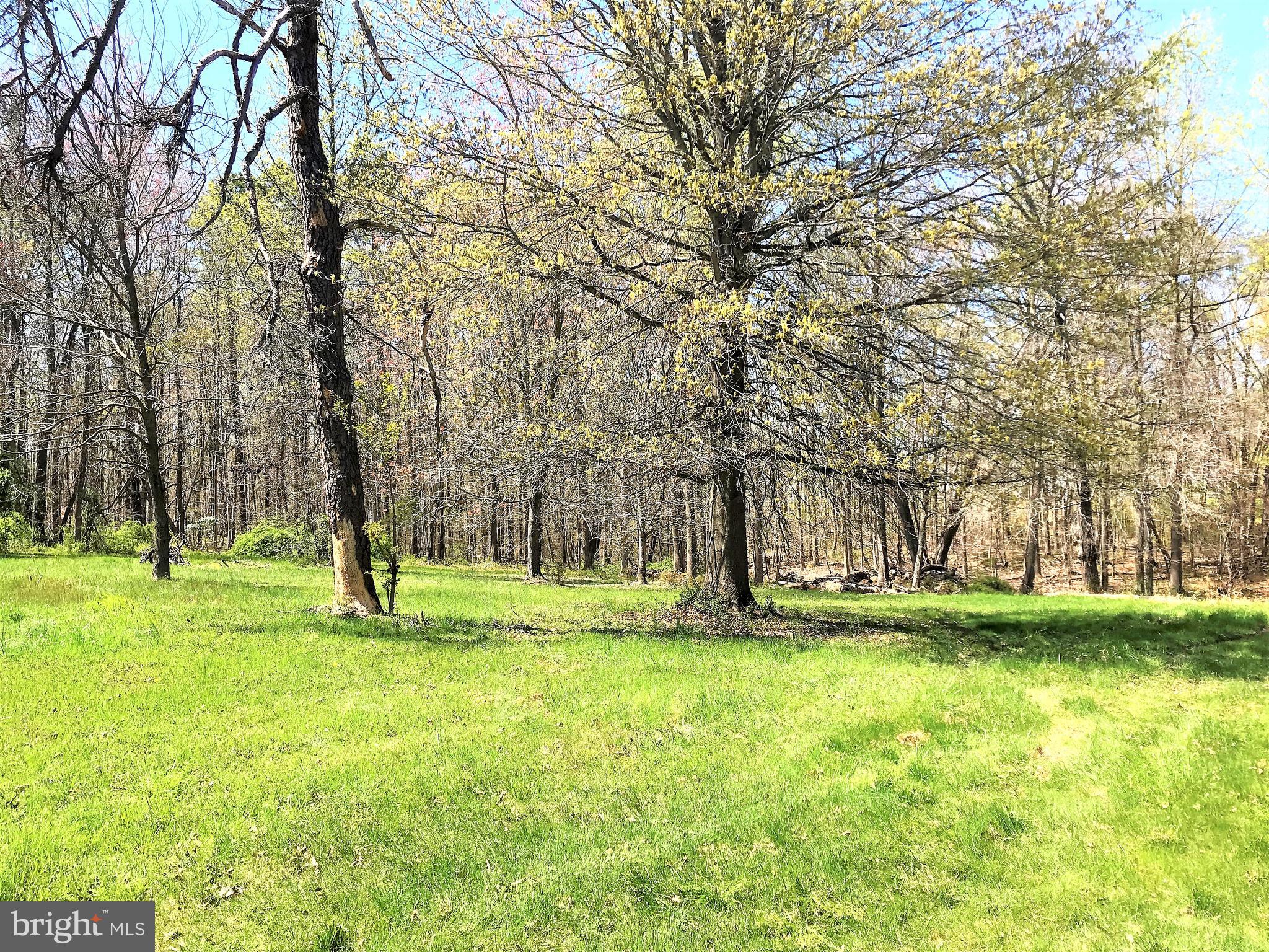 187 Razor Strap Road North East, MD 21901 - Photo 31 of 32 Huge 3.5 acre lot