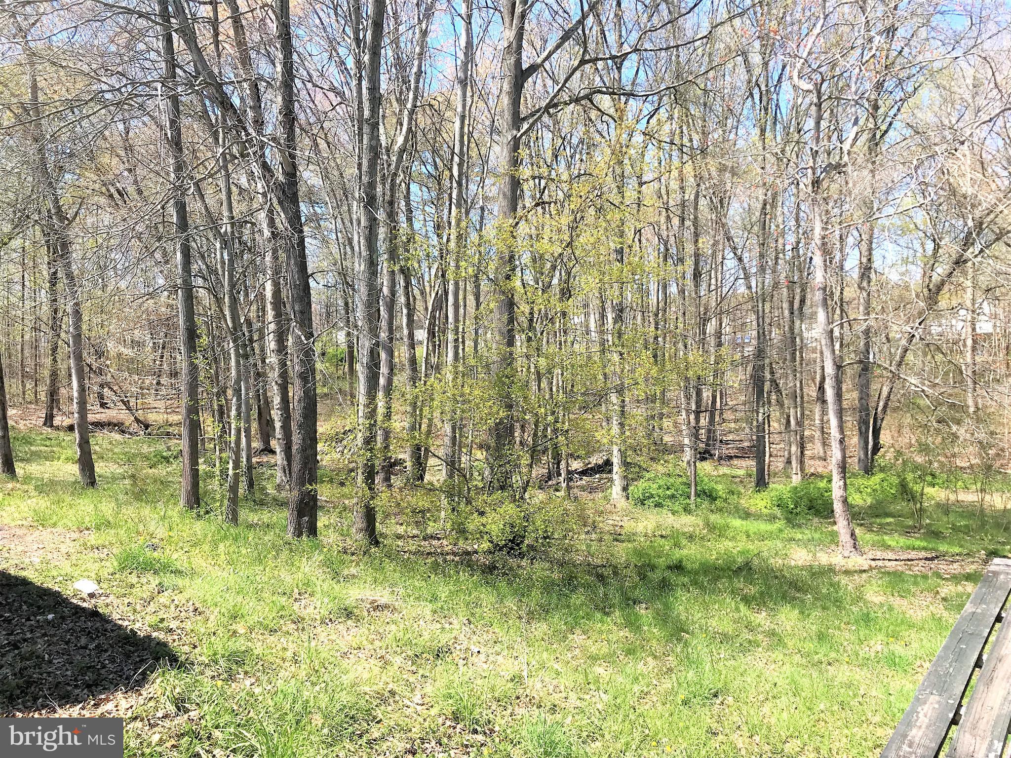 187 Razor Strap Road North East, MD 21901 - Photo 32 of 32 Lots of woods!