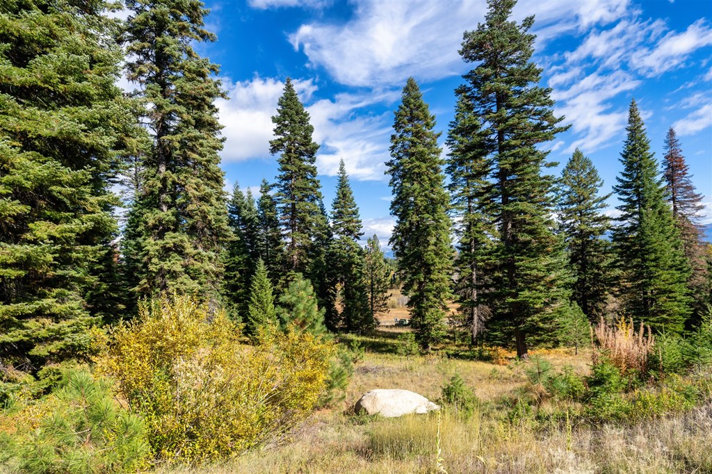 459 Osprey View Drive, Unit 90 McCall, ID 83638 - Photo 2 of 5