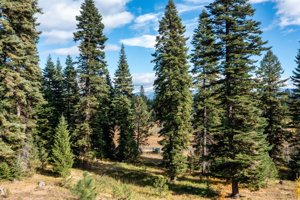 459 Osprey View Drive, Unit 90 McCall, ID 83638 - Photo 3 of 5