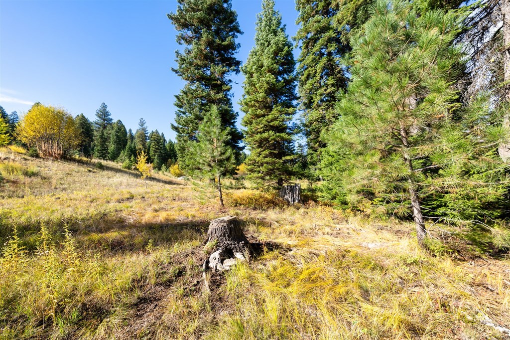 459 Osprey View Drive, Unit 90 McCall, ID 83638 - Photo 4 of 5