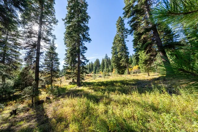 $657,250 | 459 Osprey View Drive, Unit 90, McCall, ID 83638