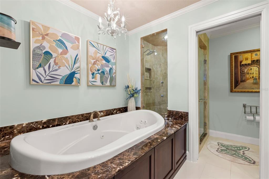101 Shore Drive Dunedin, FL 34698 - Photo 45 of 96