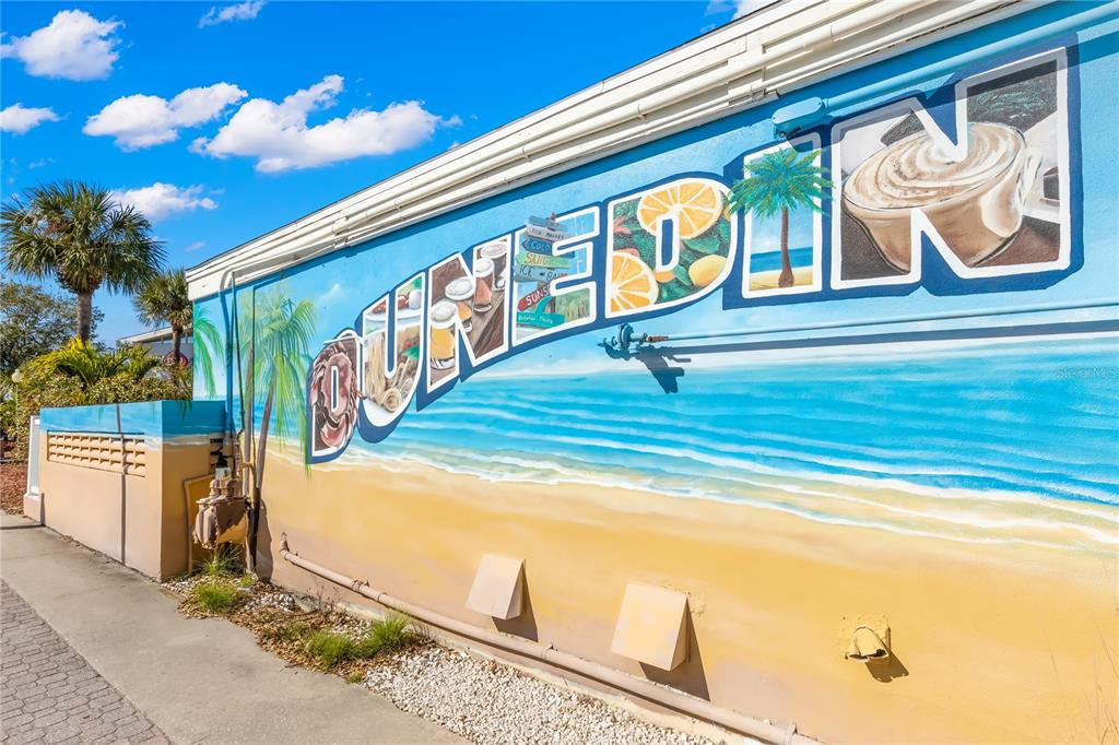 101 Shore Drive Dunedin, FL 34698 - Photo 78 of 96