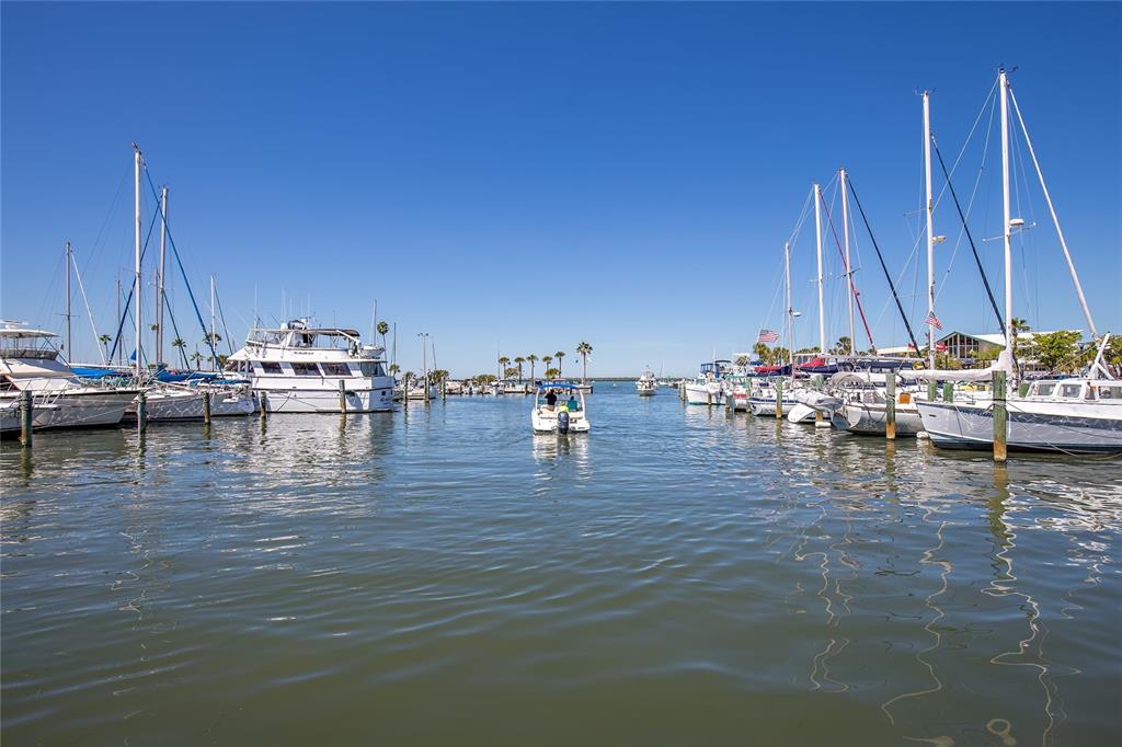 101 Shore Drive Dunedin, FL 34698 - Photo 83 of 96