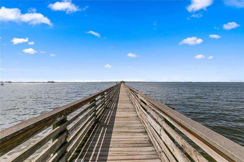 101 Shore Drive Dunedin, FL 34698 - Photo 85 of 96