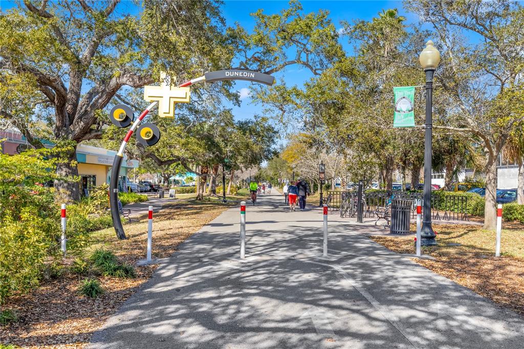 101 Shore Drive Dunedin, FL 34698 - Photo 89 of 96